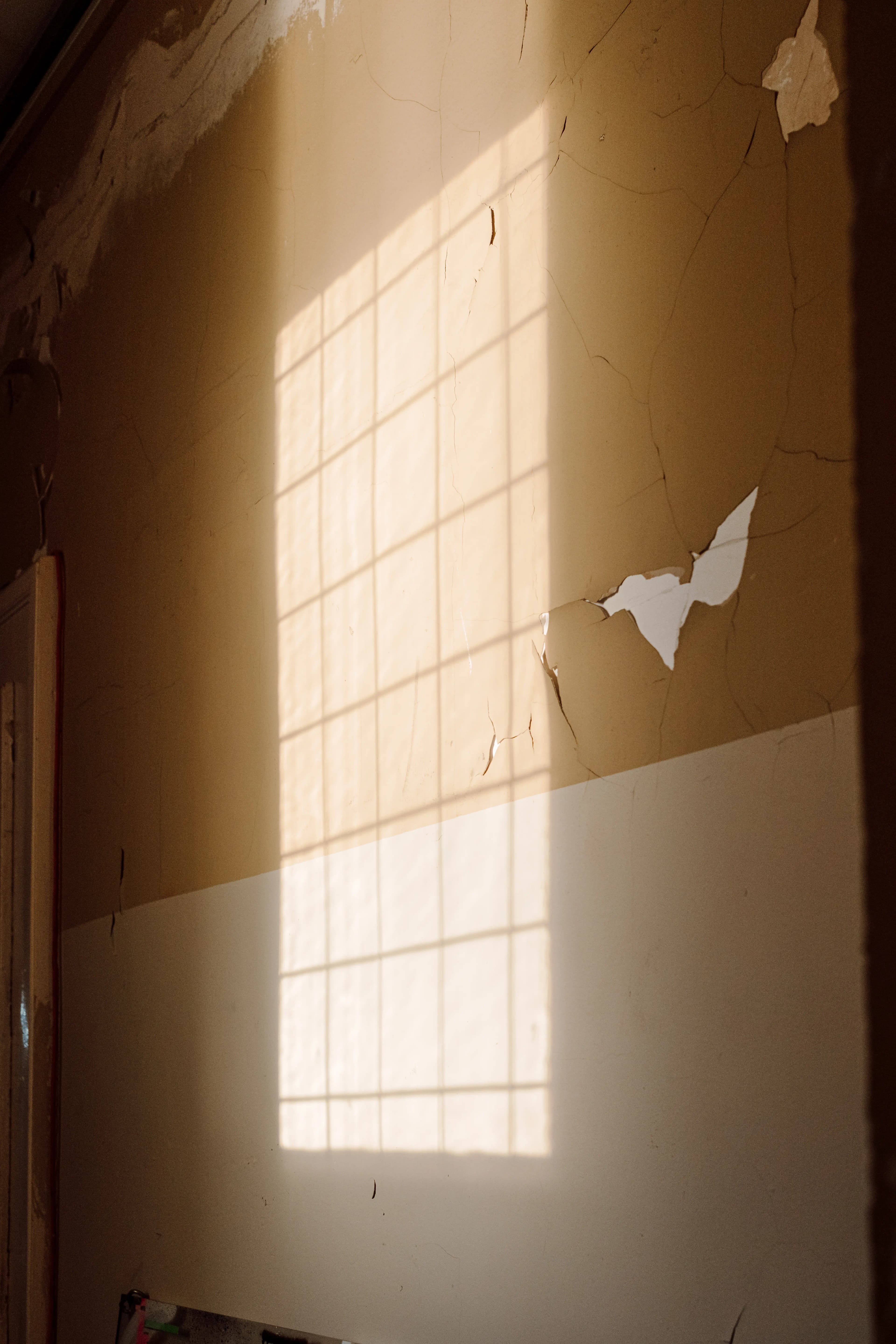 NolleFotografie  20240219 1650 DSCF7105