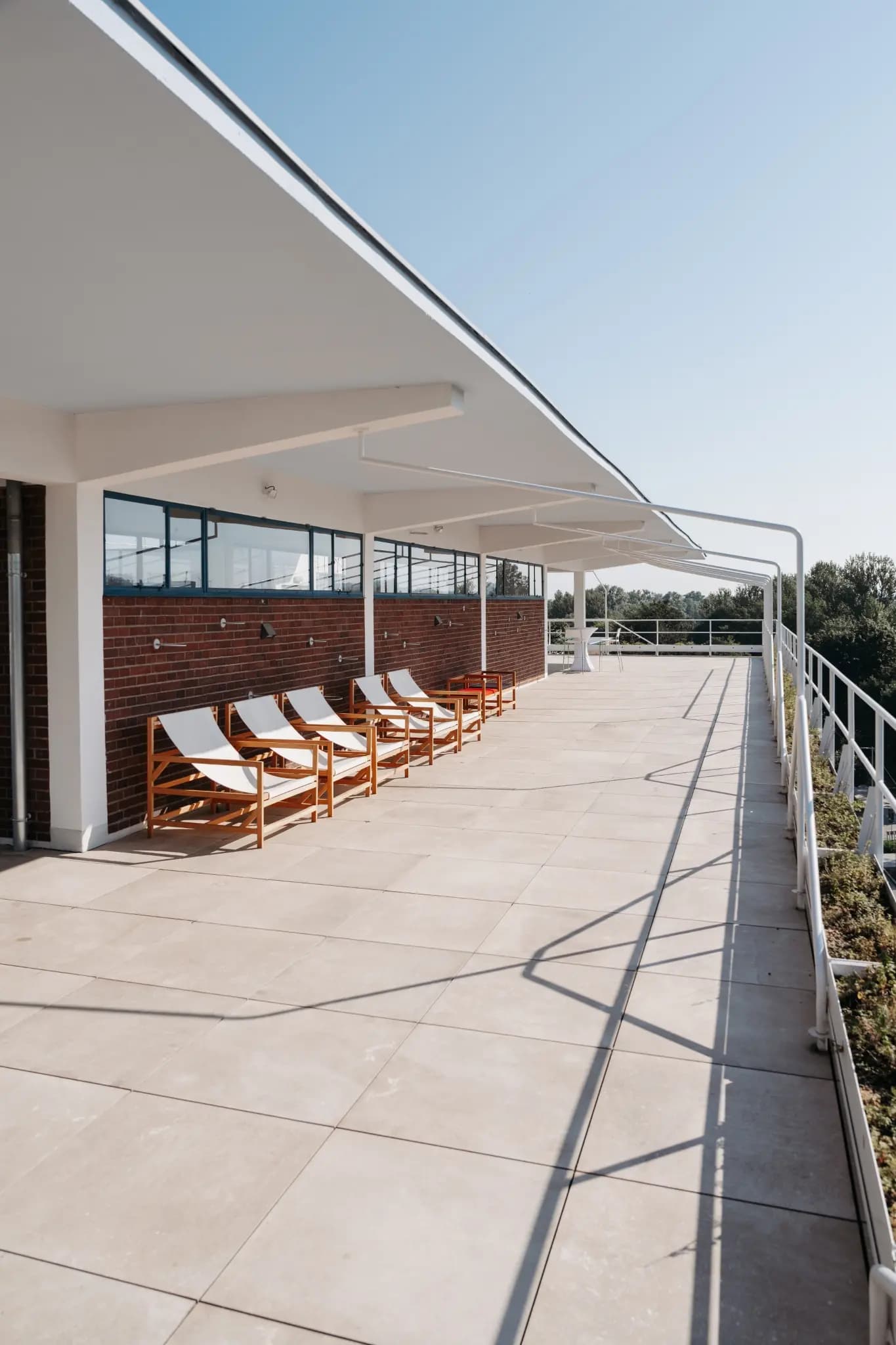 NolleFotografie  20240608 0859 DSC03093 (2K Hoch)