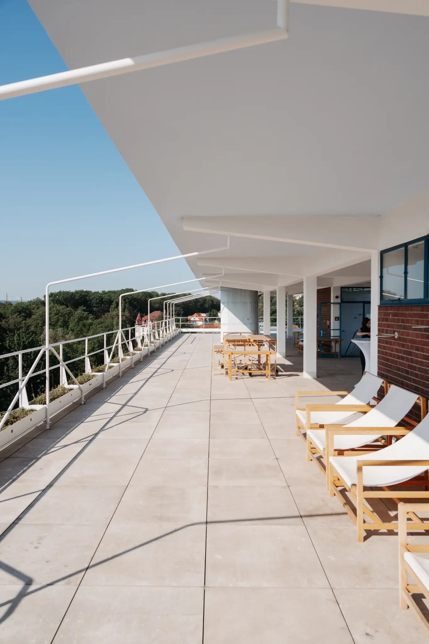 NolleFotografie  20240608 0900 DSC03096 (2K Hoch)