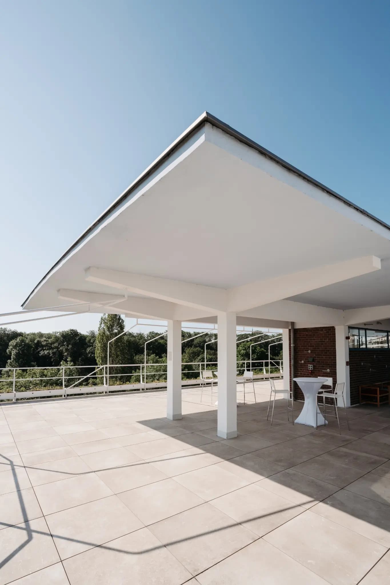 NolleFotografie  20240608 0928 DSC03114 (2K Hoch)