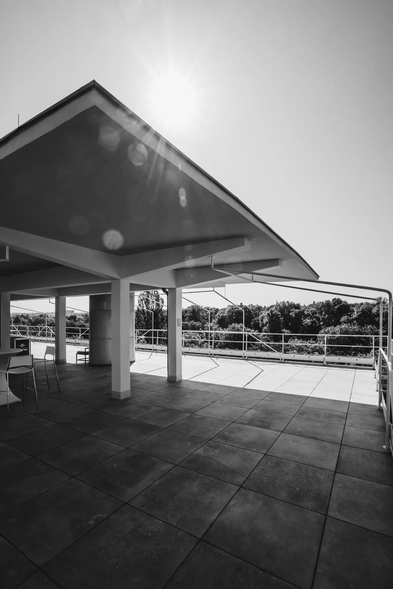 NolleFotografie  20240608 0930 DSC03118 (2K Hoch)