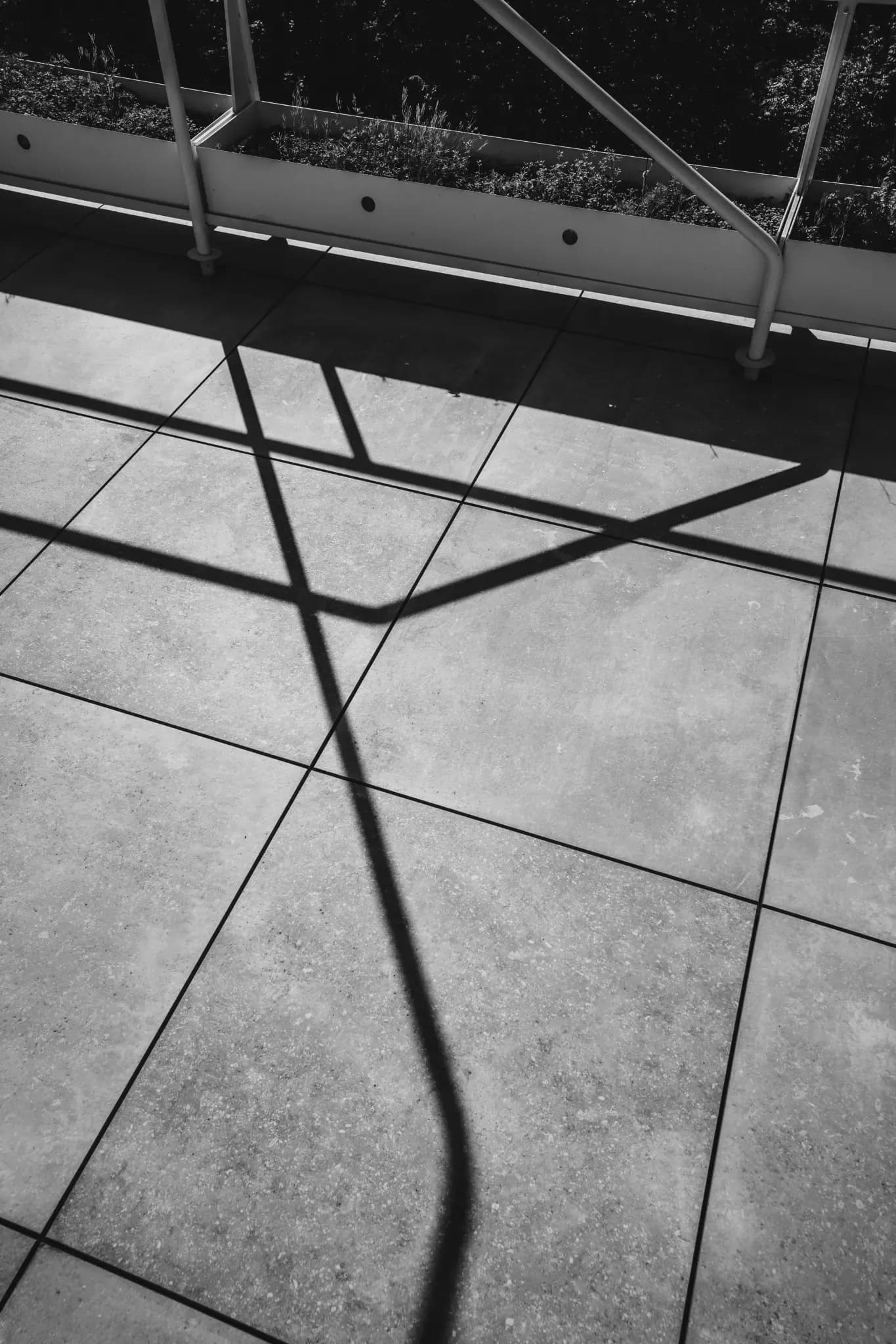 NolleFotografie  20240608 0931 DSC03121 (2K Hoch)