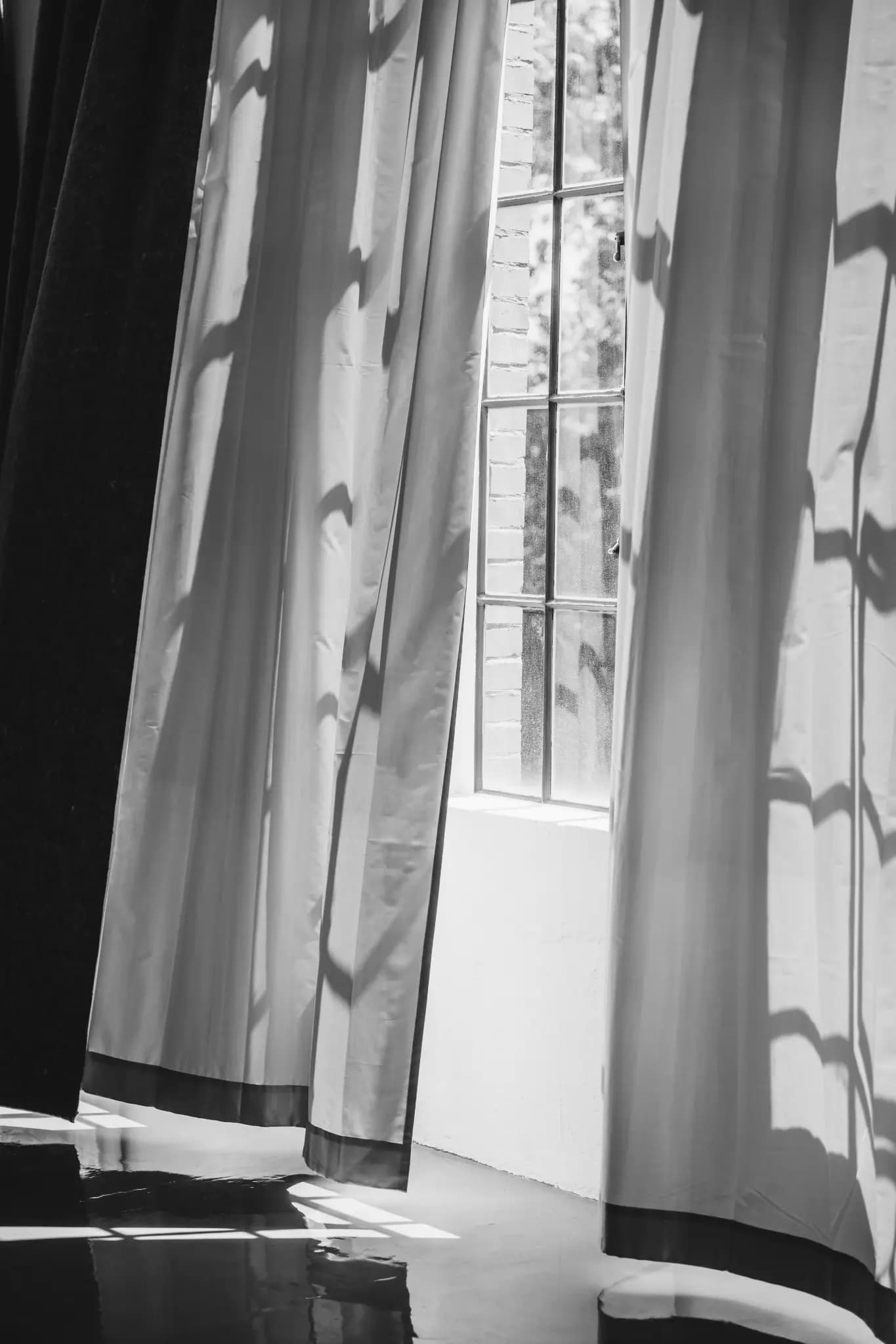 NolleFotografie  20240608 1244 DSC09528 (2K Hoch)