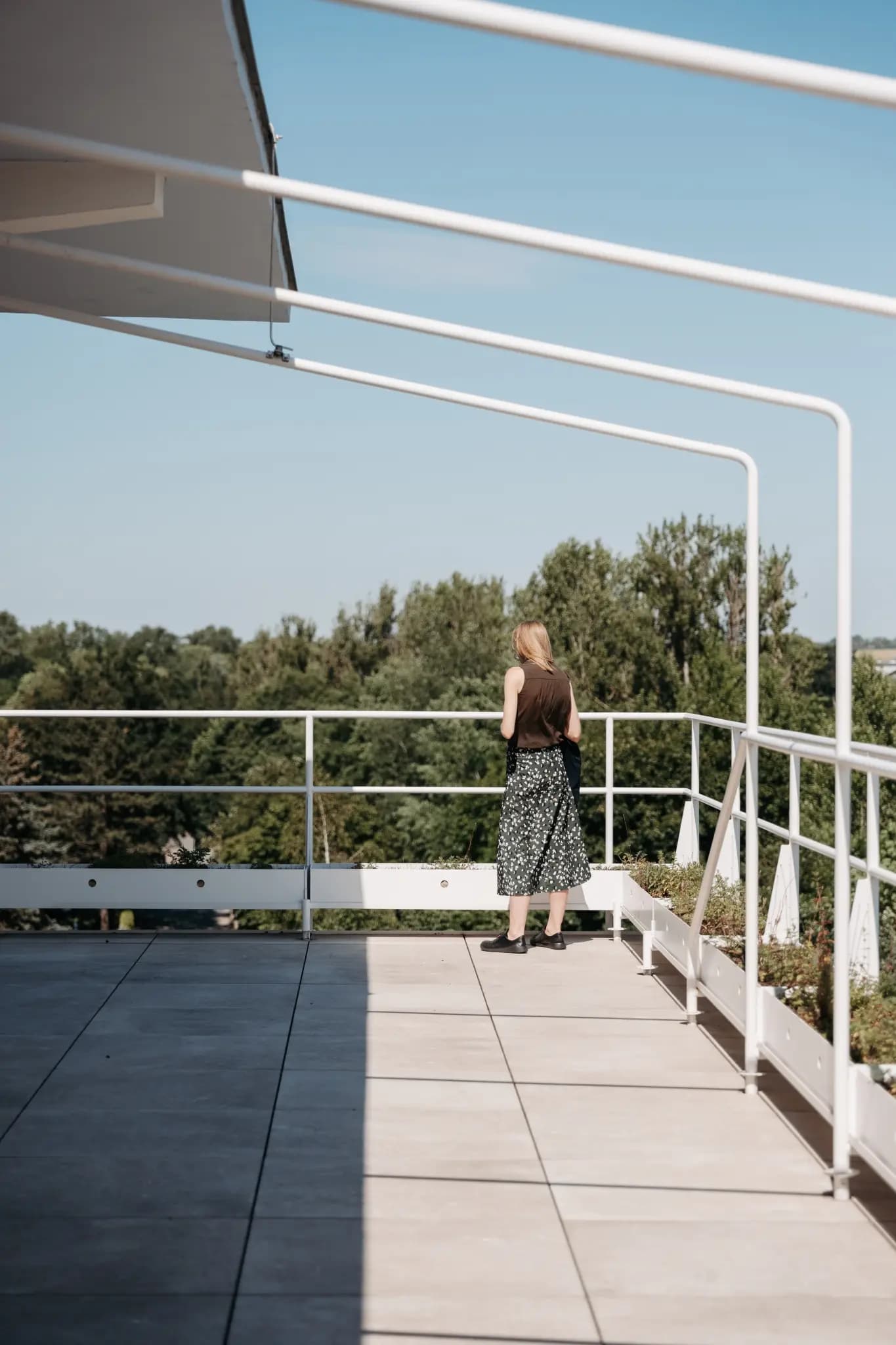 NolleFotografie  20240608 1530 DSC00115 (2K Hoch)