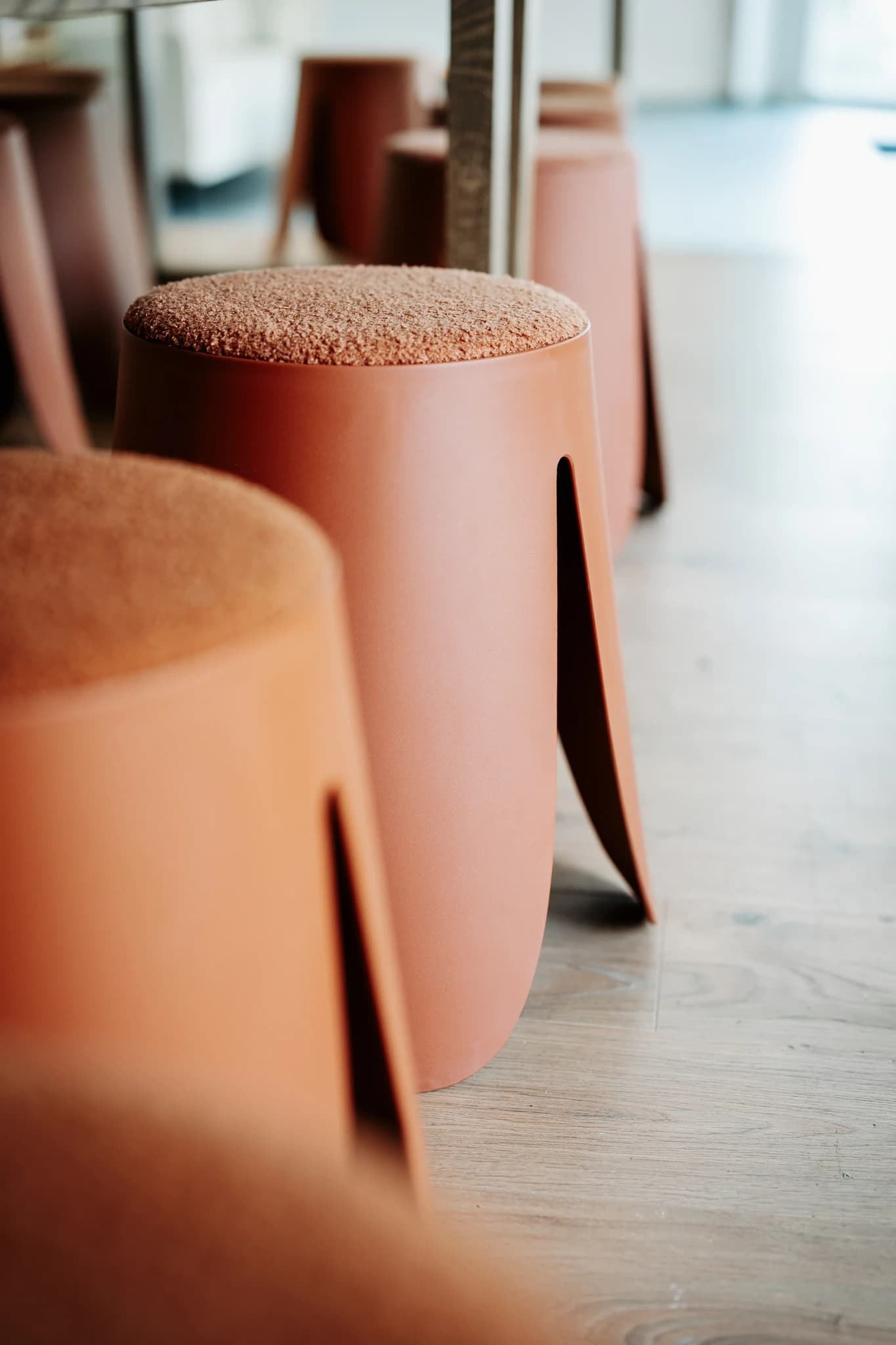 NolleFotografie  20240801 1224 DSC02918