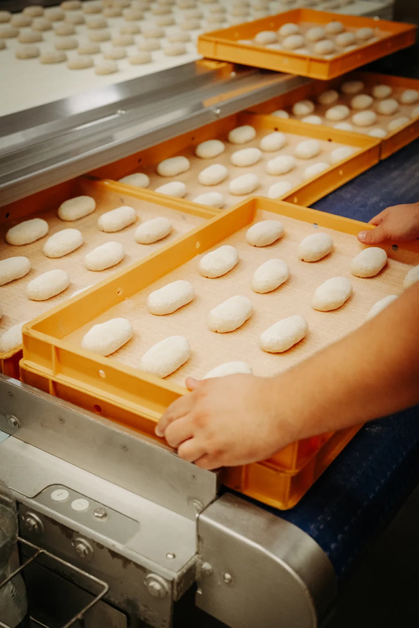 Backstubenfest Bäckerei Bergmann 2025