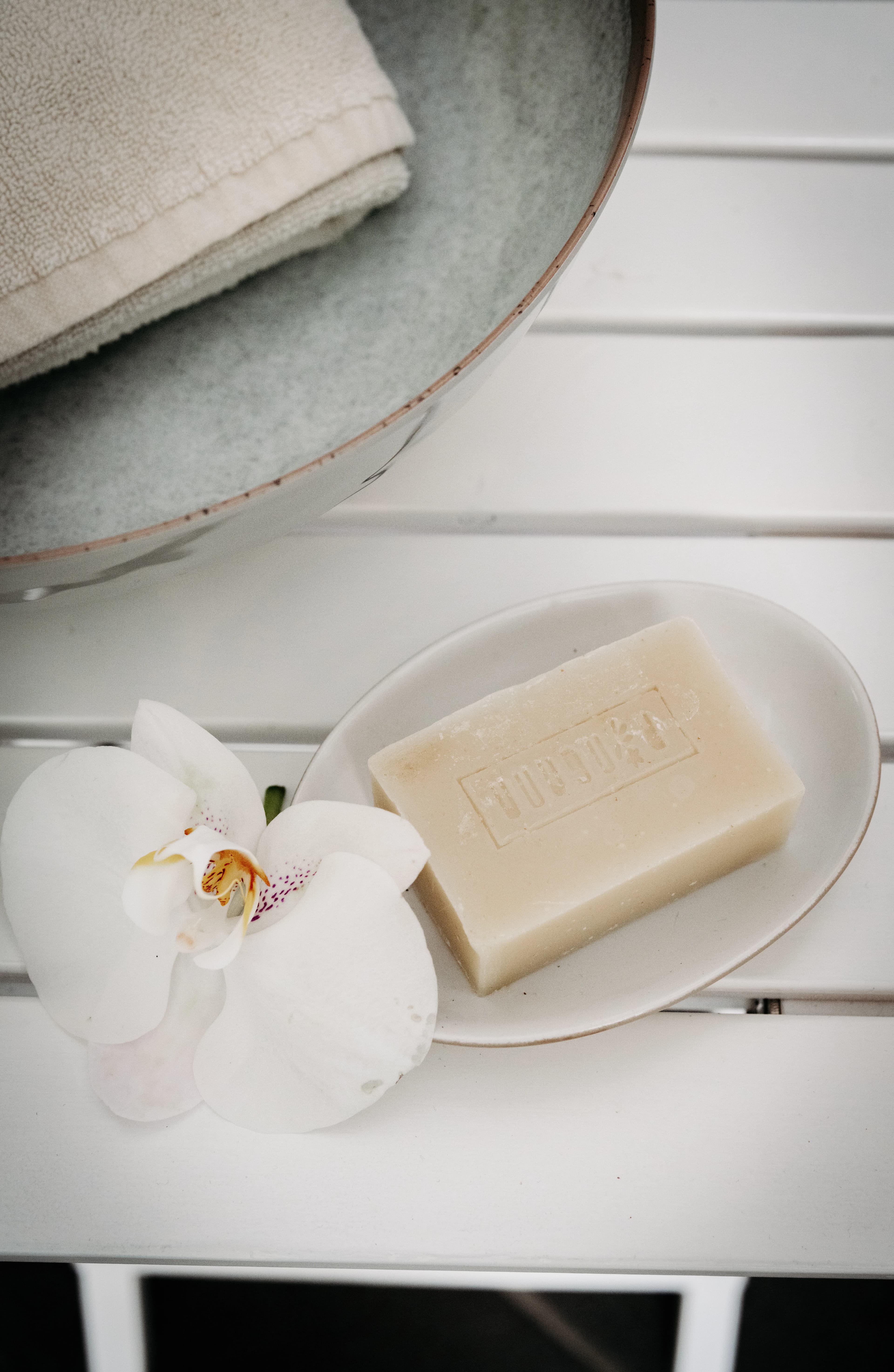 NolleFotografie  20250308 1219 DSC03704