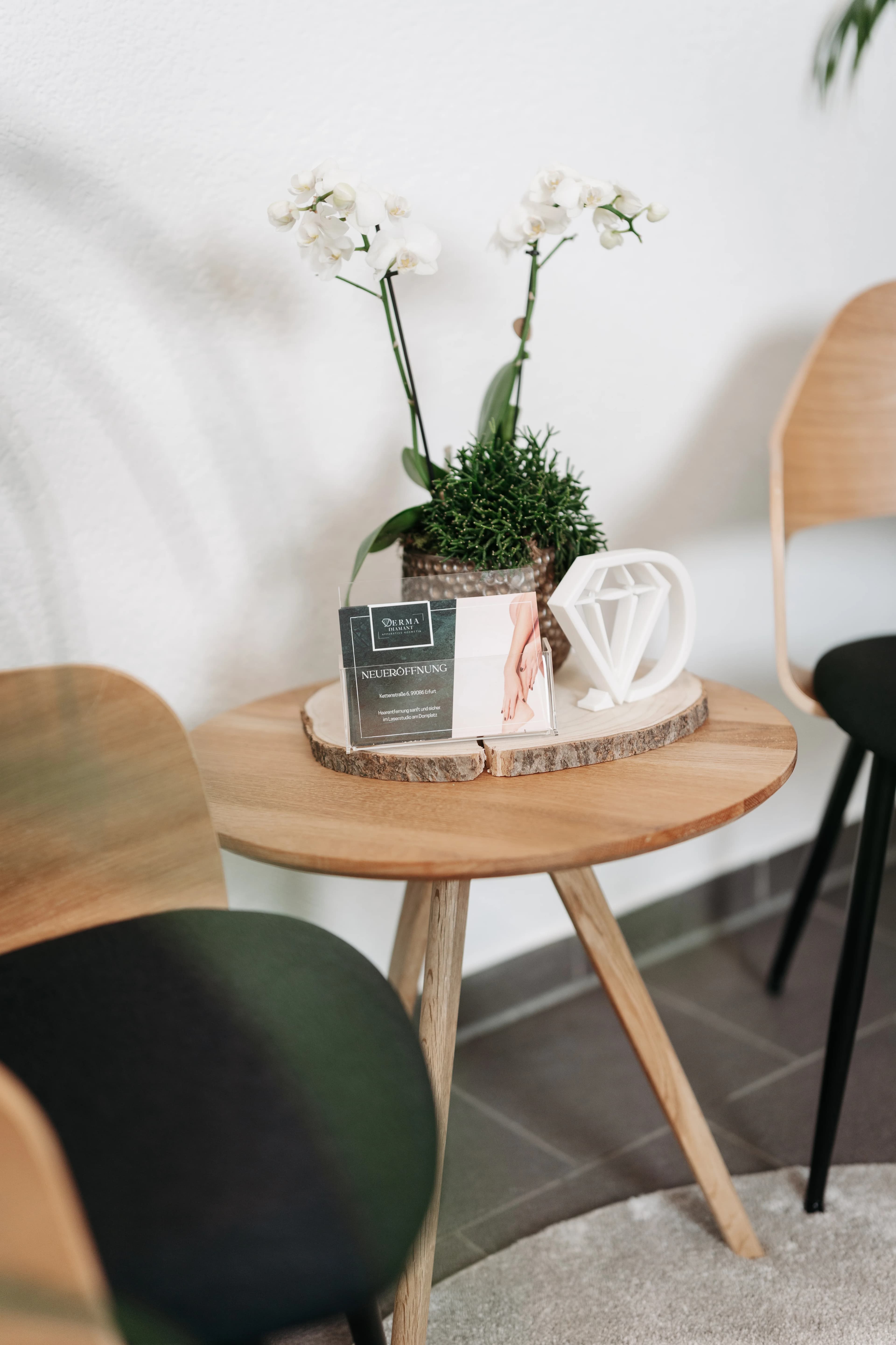 NolleFotografie  20250311 1615 DSC01857