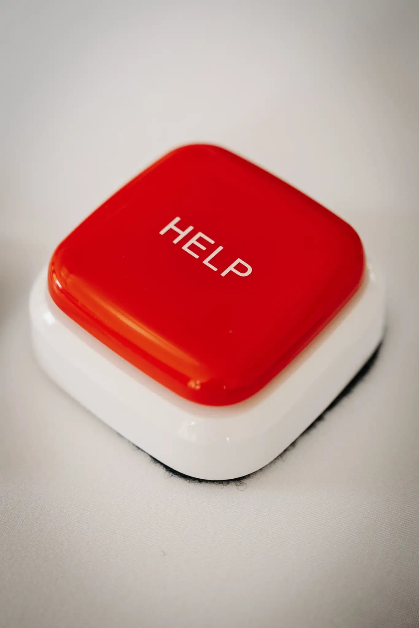 NolleFotografie  20240608 1247 DSC03682 (2K Hoch)