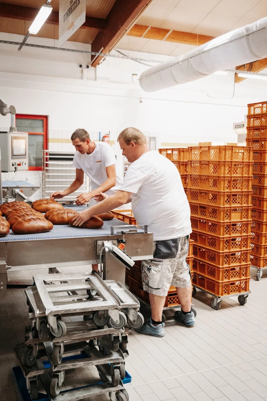 NolleFotografie  20240908 1226 DSC04546 (WEB)