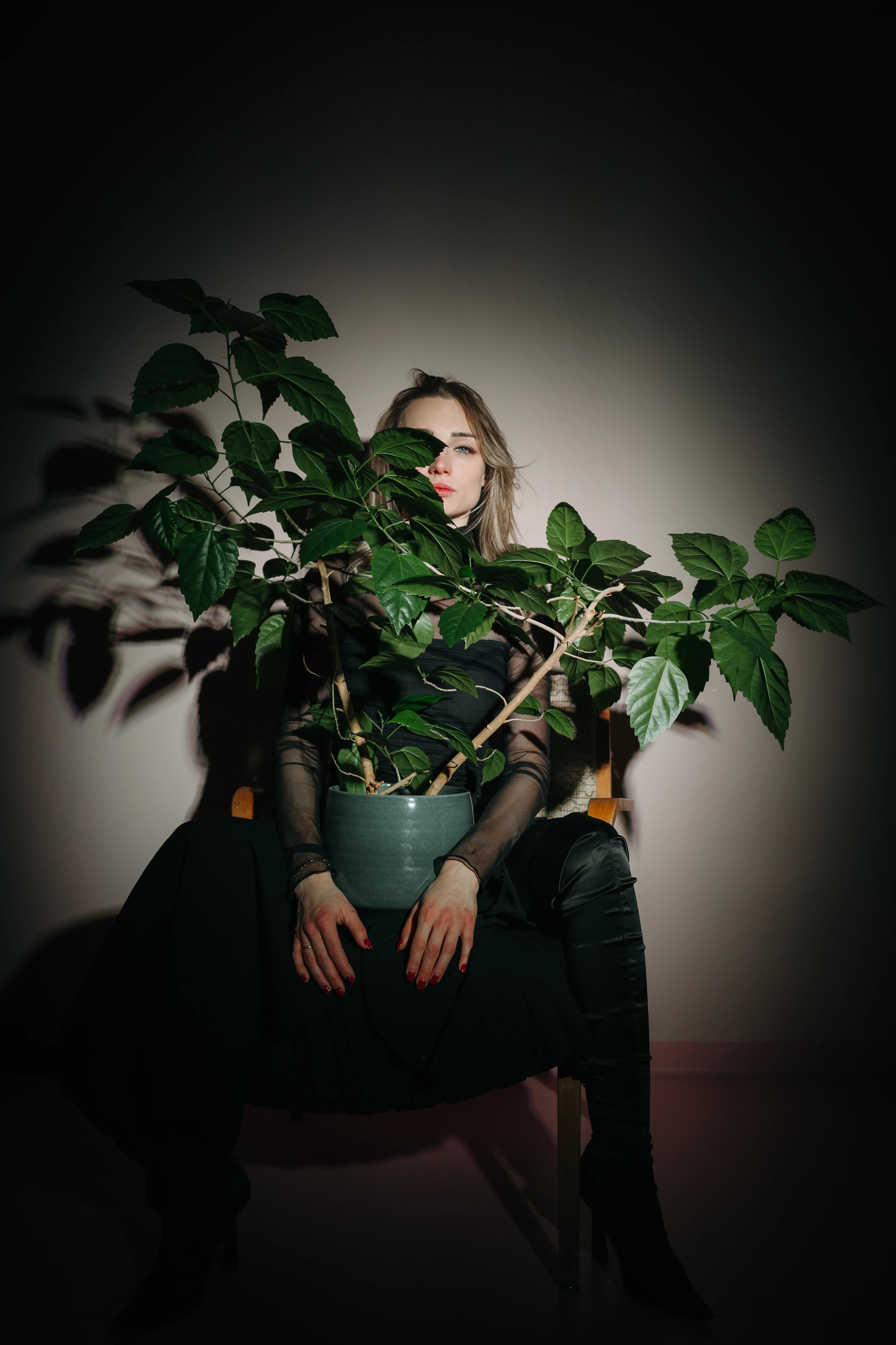 HerrundFrauNolle  20260110 2228 DSC04517