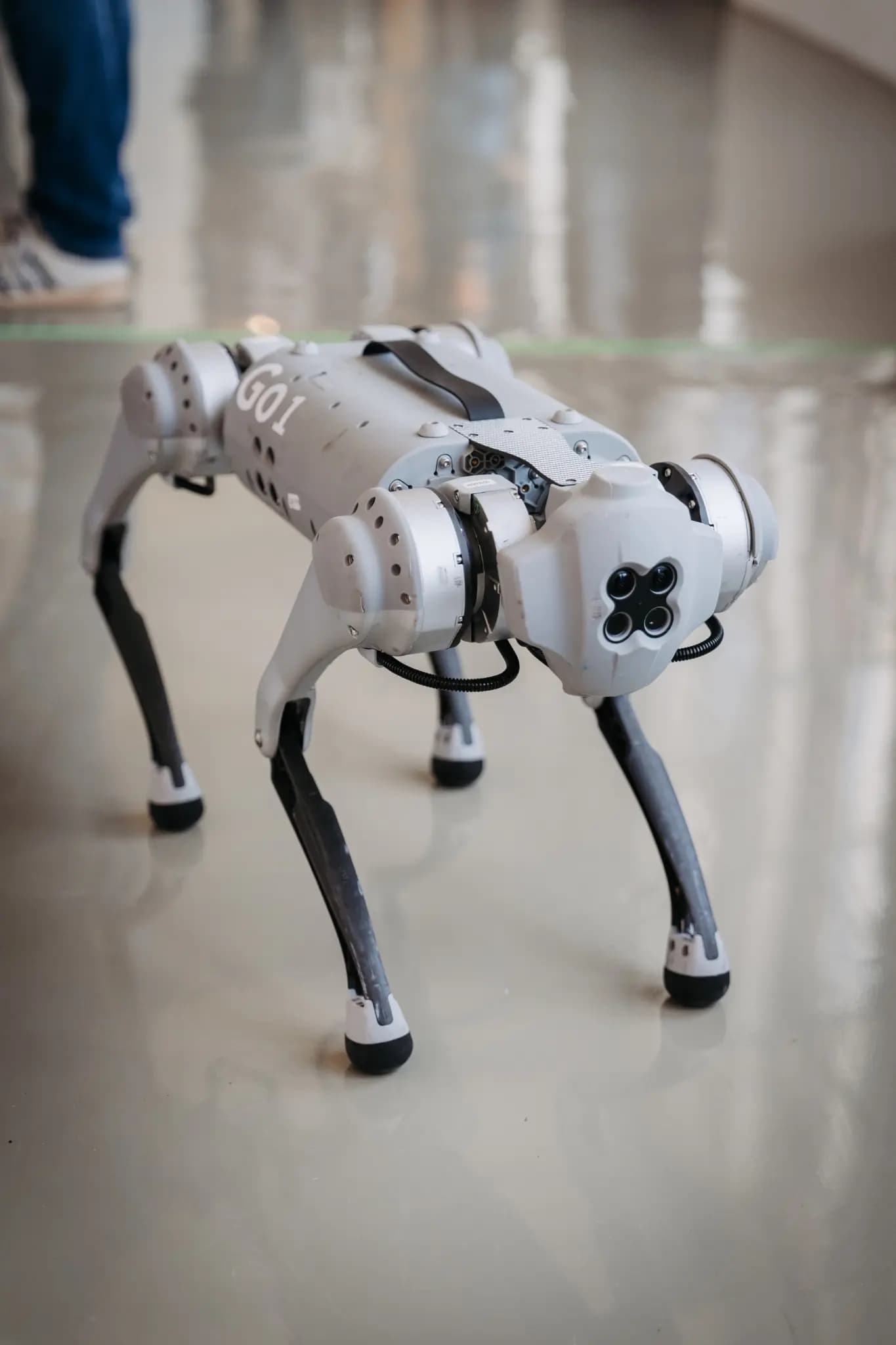 Fokustag Telemedizin 2024